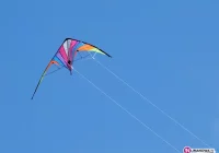 'Święto latawca' podczas Limanowskiego Pikniku Majowego - zdjęcie główne