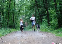 Dogtrekking podczas Limanowskiego Pikniku Majowego - zdjęcie główne