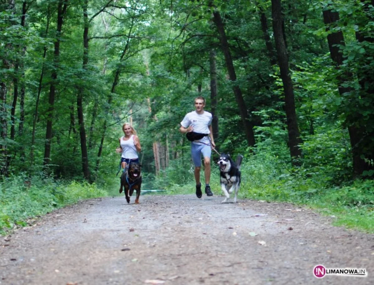 Dogtrekking podczas Limanowskiego Pikniku Majowego