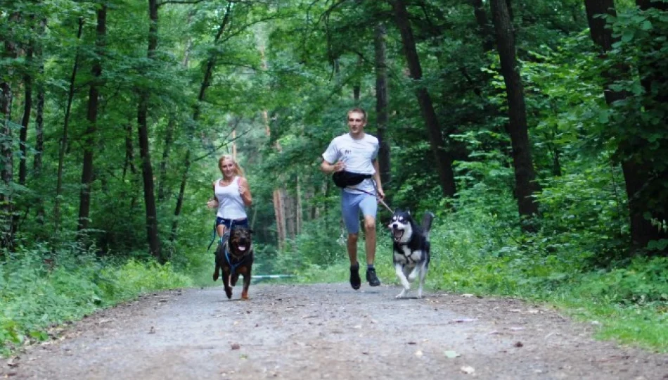 Dogtrekking podczas Limanowskiego Pikniku Majowego - zdjęcie 1