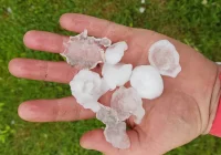 Burze i grad - kule lodu miały średnio ok. 3 cm, lokalnie nawet powyżej 5 cm - zdjęcie główne