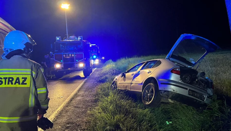 Samochód wypadł z jezdni i wjechał do rowu - zdjęcie 1