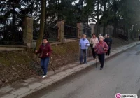 Zajęcia nordic walking dla seniorów w LDK - zdjęcie główne