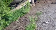 Samochód uderzył w słup. Kierowca uciekł - zdjęcie 4