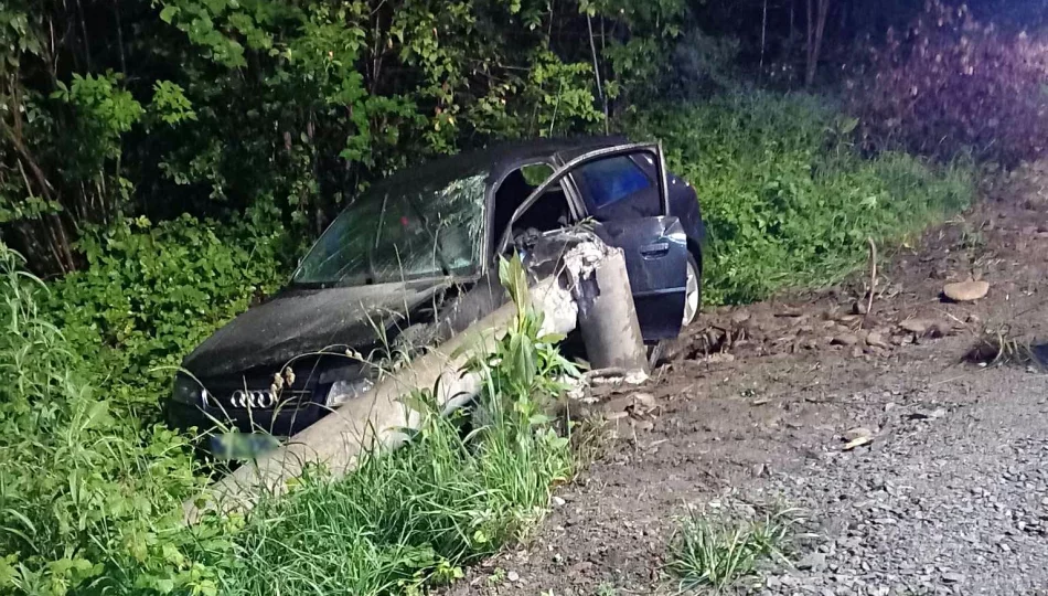 Miał 2,5 promila, trafił do aresztu - zdjęcie 1