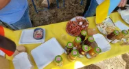 Delegacja z Miasta Limanowa na Jubileuszu 50-lecia partnerskiej Gminy Wathlingen - zdjęcie 5