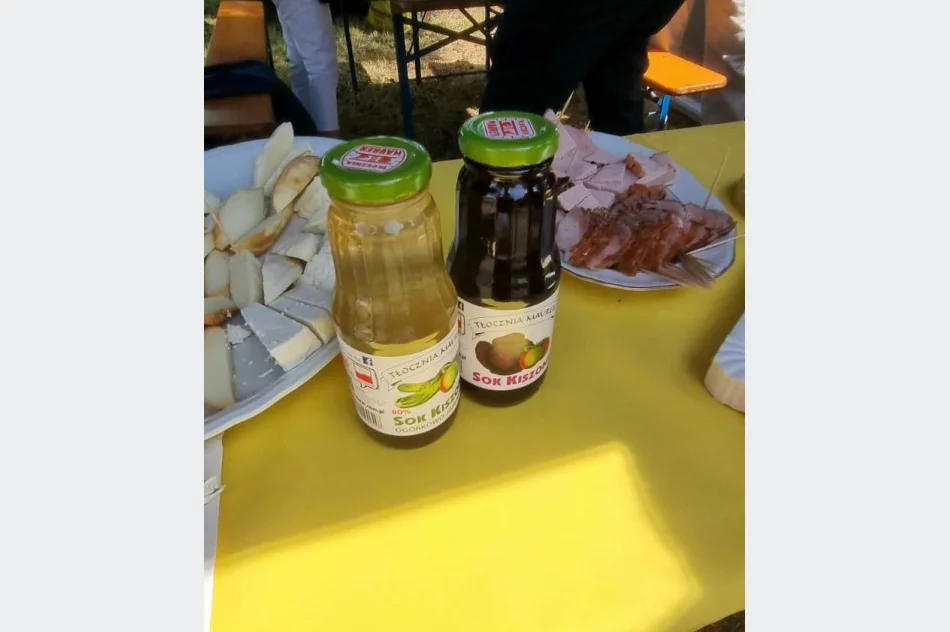 Delegacja z Miasta Limanowa na Jubileuszu 50-lecia partnerskiej Gminy Wathlingen - zdjęcie 10