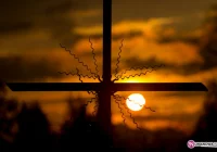 Podziękowania Rodziny - zdjęcie główne