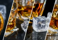 Alkohol – szkody o których nie miałeś pojęcia - zdjęcie główne