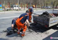 Studzienki po zimie - zdjęcie główne