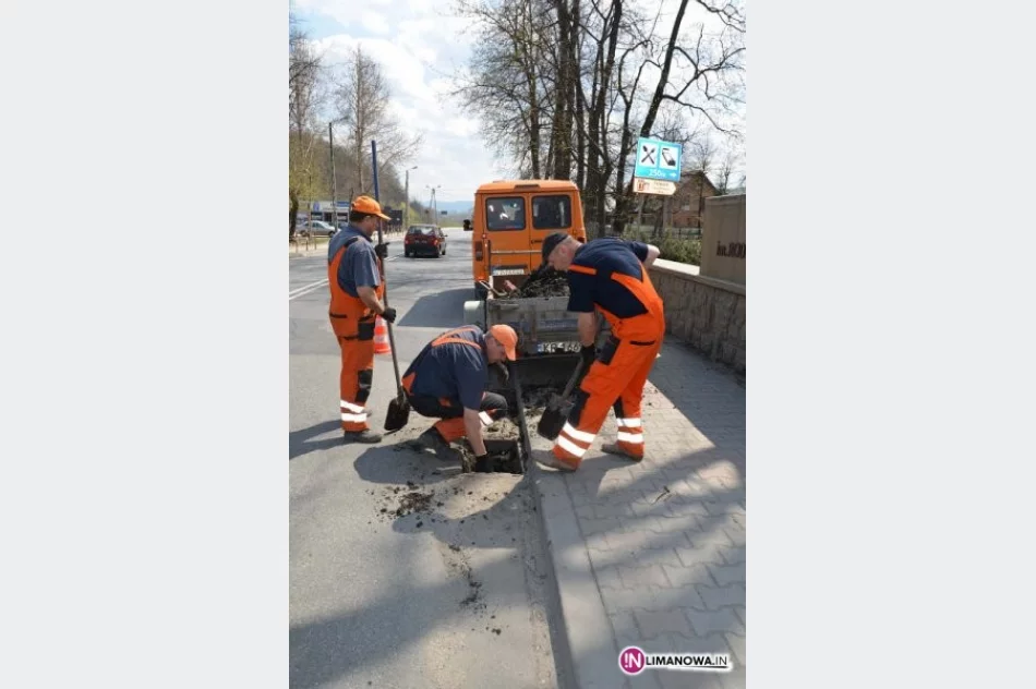 Studzienki po zimie - zdjęcie 2