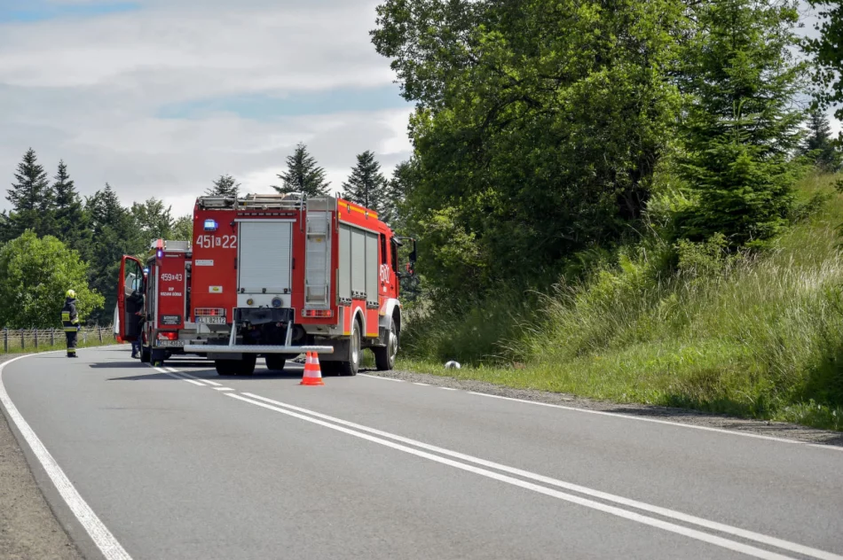 Wypadek w Lubomierzu. Jest decyzja prokuratury w sprawie kierowcy Toyoty - zdjęcie 14