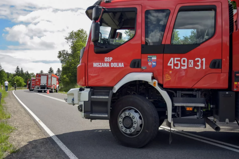 Wypadek w Lubomierzu. Jest decyzja prokuratury w sprawie kierowcy Toyoty - zdjęcie 13