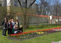 Wiosna w CKU - zdjęcie główne