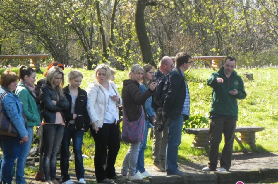 Wiosna w CKU - zdjęcie 2