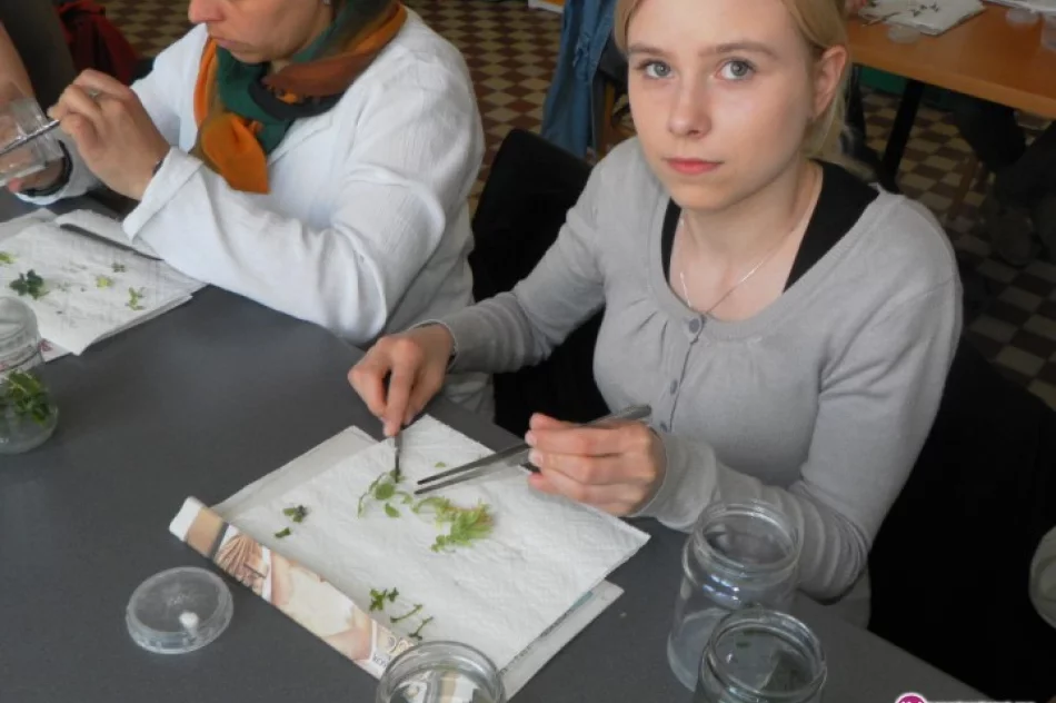 Wiosna w CKU - zdjęcie 4