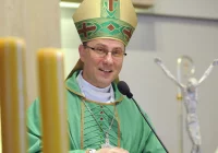 Abp Polak: badamy skalę zgłoszeń wykorzystywania seksualnego małoletnich w diecezjach i zakonach męskich - zdjęcie główne