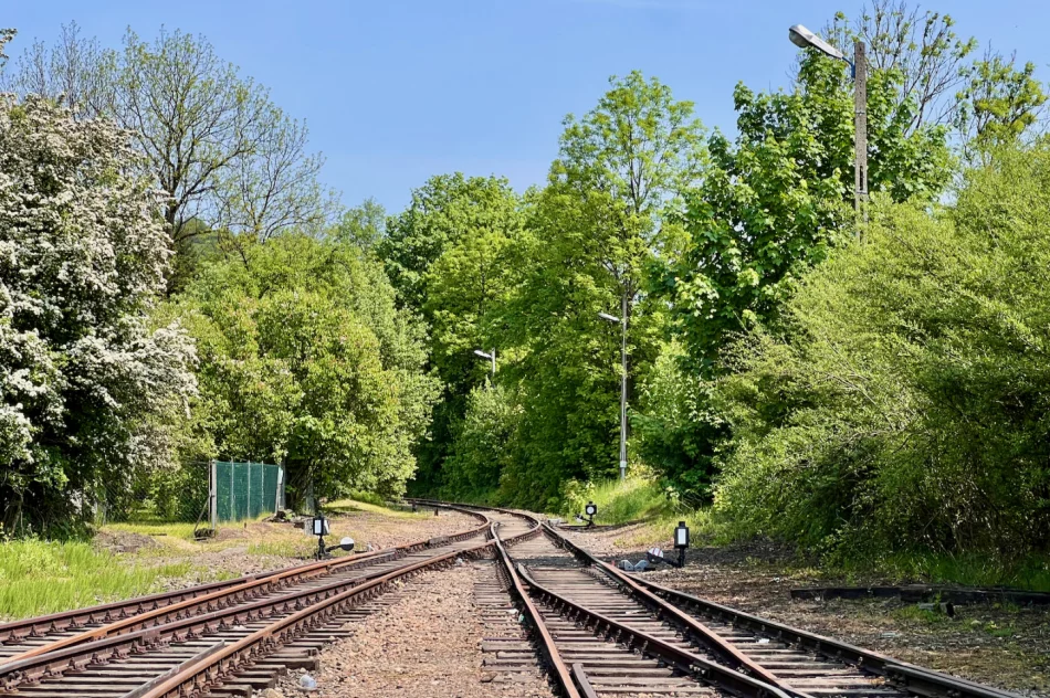 Tych numerów działek dotyczy budowa linii kolejowej 104 - obwieszczenie wojewody - zdjęcie 10