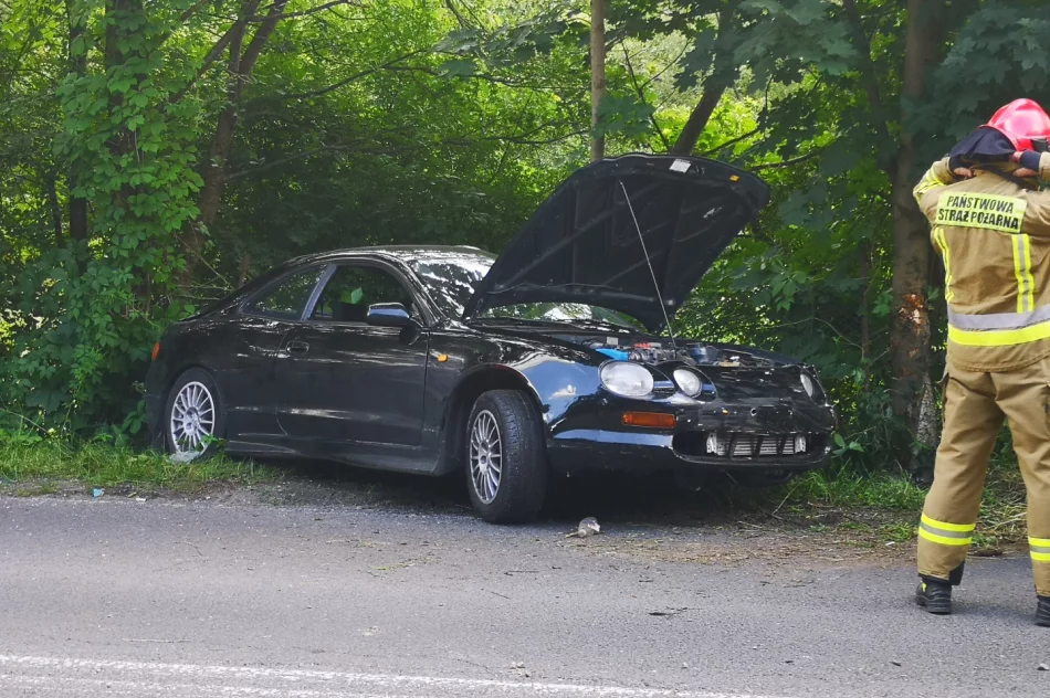 Samochód uderzył w drzewo i ogrodzenie - zdjęcie 5