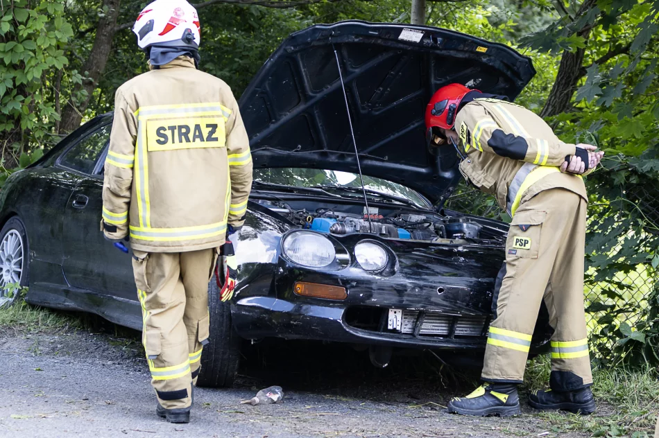 Samochód uderzył w drzewo i ogrodzenie - zdjęcie 7
