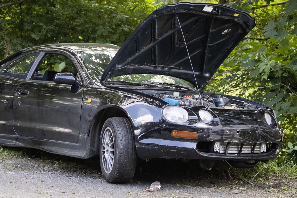Samochód uderzył w drzewo i ogrodzenie - zdjęcie 10
