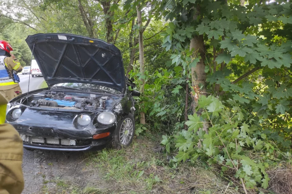 Mandat dla 19-letniego kierowcy Toyoty - zdjęcie 13