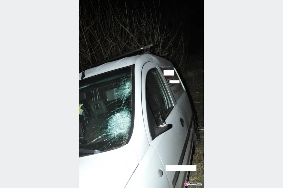 Wypadł z zakrętu i potrącił 15-latka - zdjęcie 2