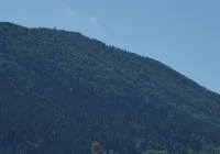 Zgłoszenie na Szczeblu fałszywe. W Rupniowie ogień szybko opanowany - zdjęcie główne