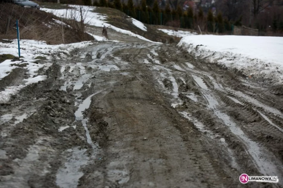 Miejska ulica jak szlak zrywkowy - zdjęcie 2