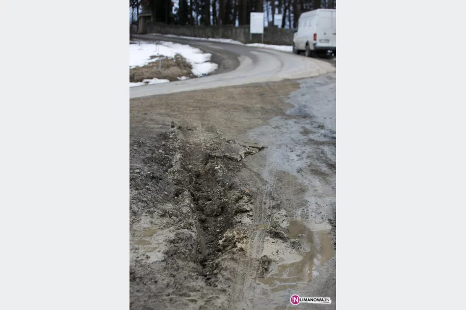 Miejska ulica jak szlak zrywkowy - zdjęcie 3