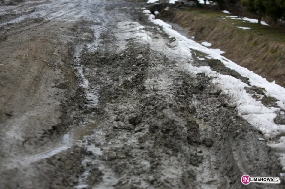 Miejska ulica jak szlak zrywkowy - zdjęcie 4