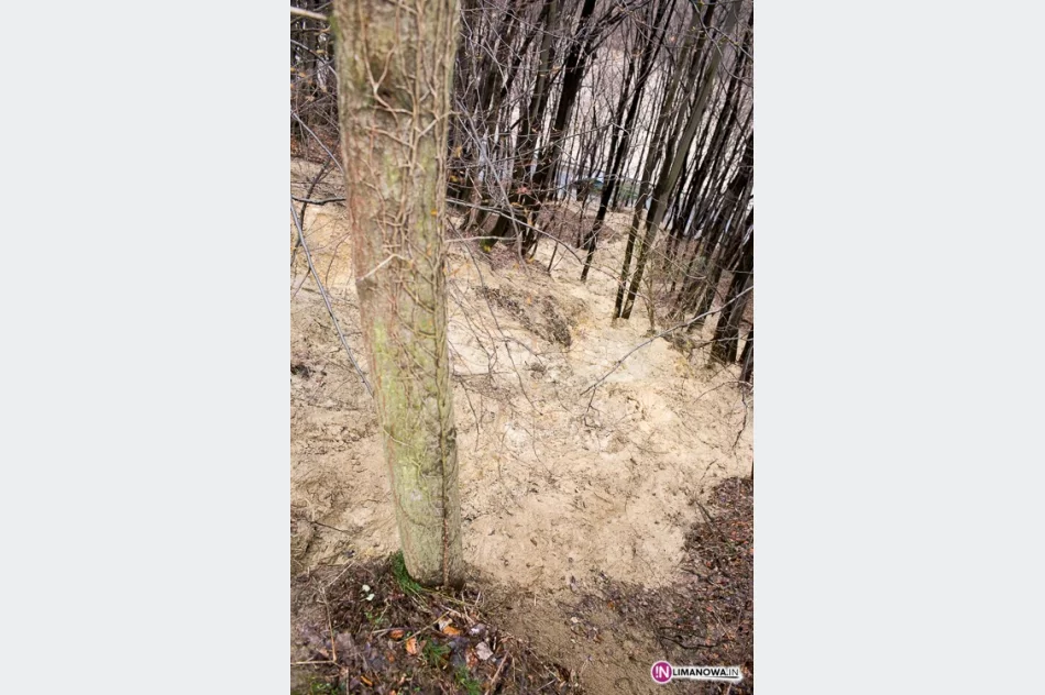 Nad drogą ruszyło osuwisko - zdjęcie 3