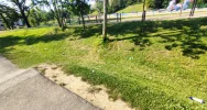 Dewastacja parku - gdzie ten monitoring? - zdjęcie 2
