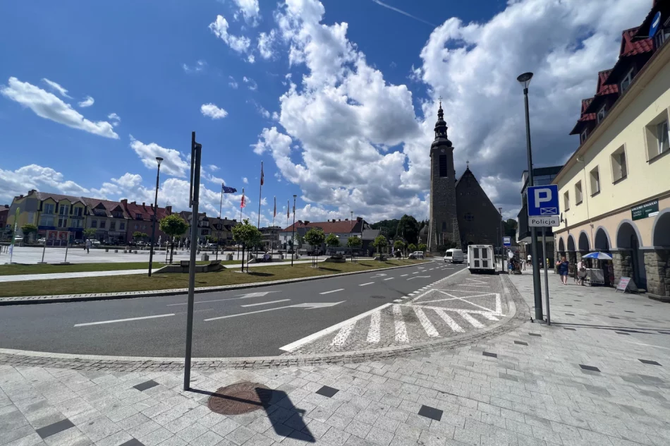 Ekspert: trzeba "odbetonować" miasta, bo wkrótce nie da się w nich wytrzymać - zdjęcie 8