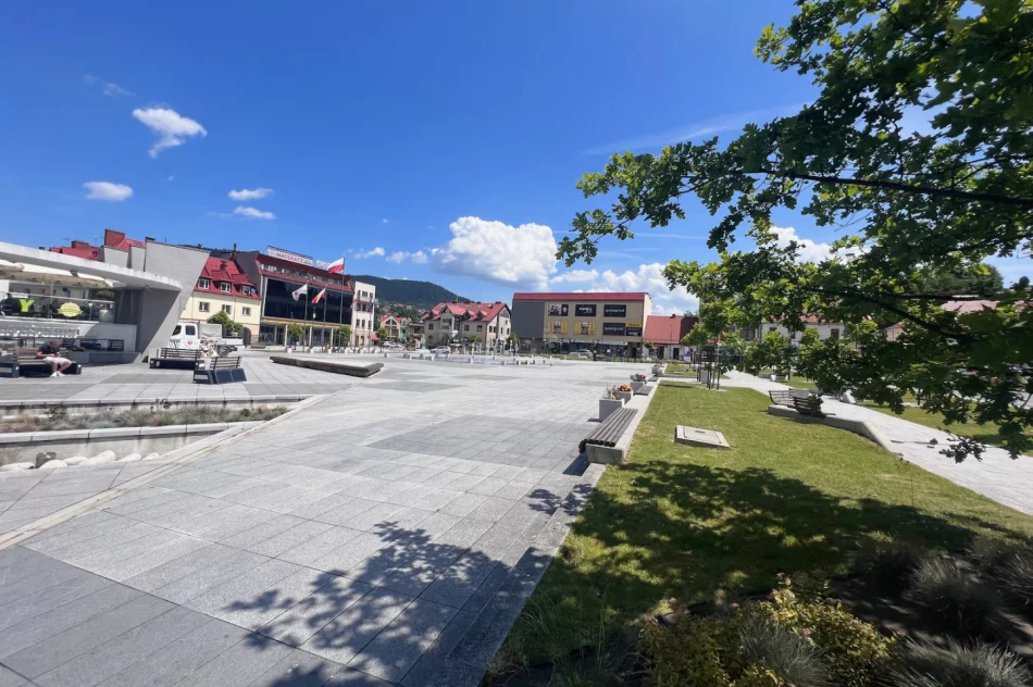 Ekspert: trzeba "odbetonować" miasta, bo wkrótce nie da się w nich wytrzymać - zdjęcie 12