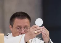 Decyzja Papieża: Arcybiskup Grzegorz Ryś kardynałem! - zdjęcie główne