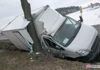 Uderzył w drzewo. Sprawca odjechał? - zdjęcie główne