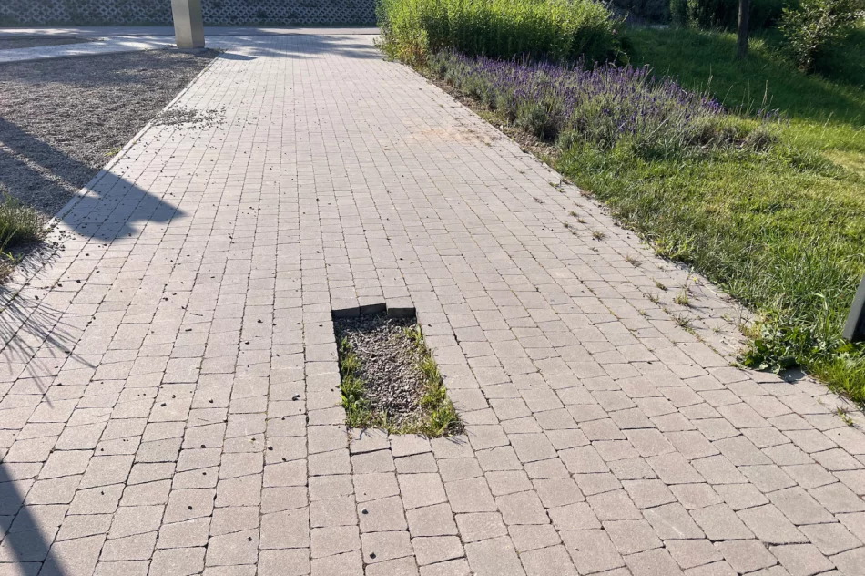 Dewastacja parku - gdzie ten monitoring? - zdjęcie 9