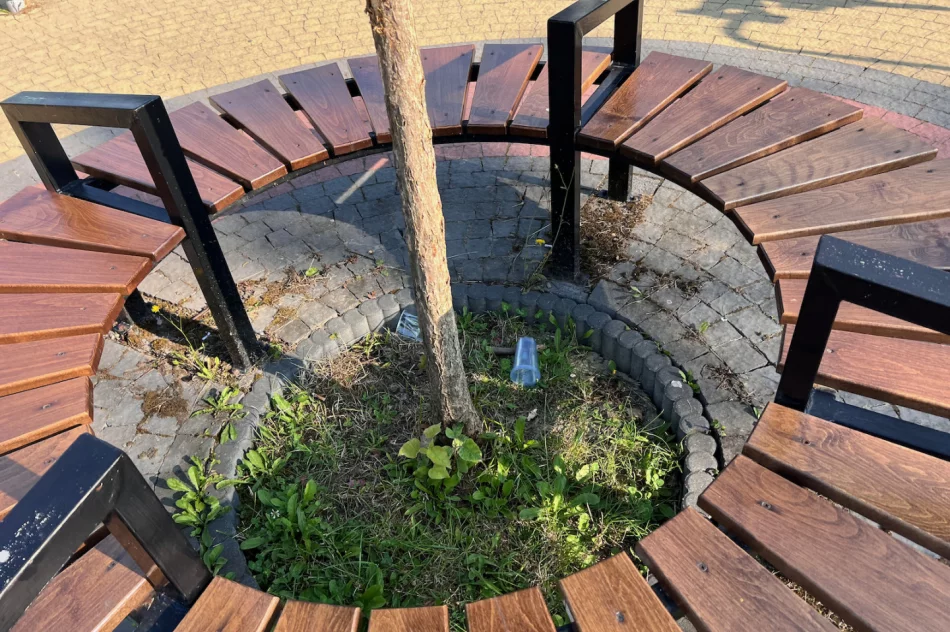 Dewastacja parku - gdzie ten monitoring? - zdjęcie 13