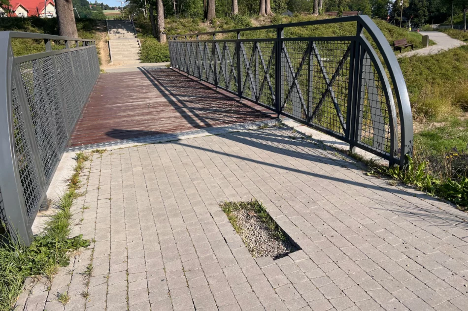 Dewastacja parku - gdzie ten monitoring? - zdjęcie 16