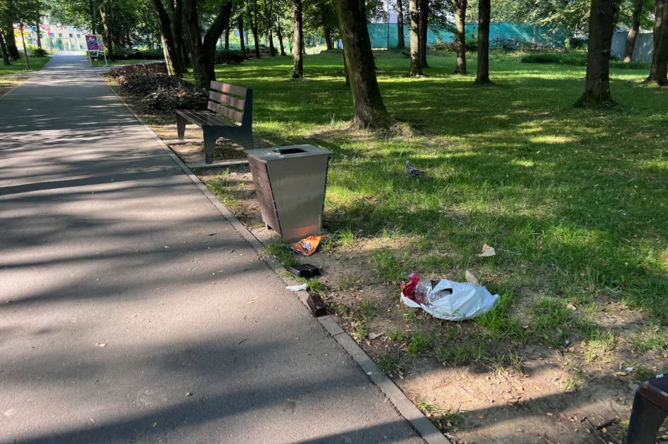 Dewastacja parku - gdzie ten monitoring? - zdjęcie 17