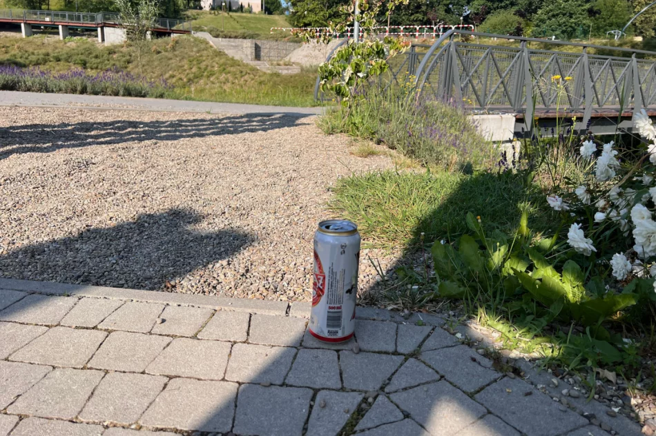 Dewastacja parku - gdzie ten monitoring? - zdjęcie 19