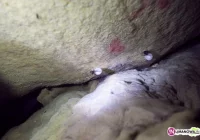 „Natura i gospodarka – podstawy dialogu” - zdjęcie główne