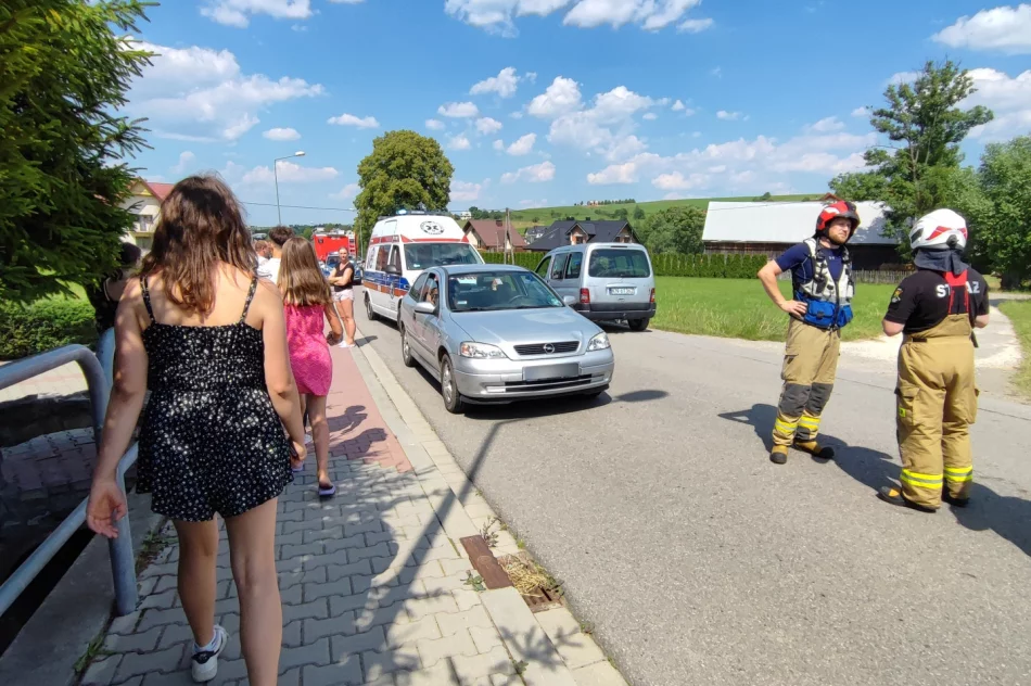 Śmiertelne potrącenie, nie żyje 88-letnia kobieta - zdjęcie 4