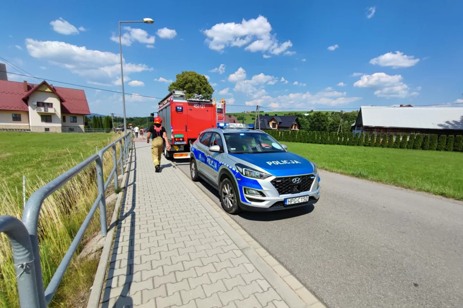 Śmiertelne potrącenie, nie żyje 88-letnia kobieta - zdjęcie 6