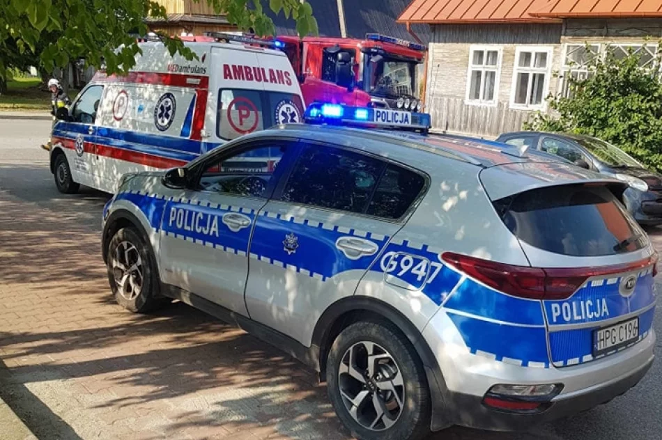 Dwie kolizje i mandaty dla sprawczyń - zdjęcie 3