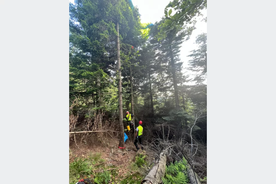 Ratownicy mieli pełne ręce roboty - poważne wypadki w górach - zdjęcie 3