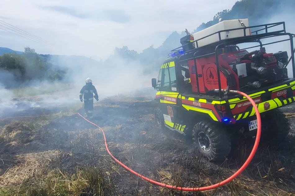 Pożar traw: poparzona osoba trafiła do szpitala - zdjęcie 2