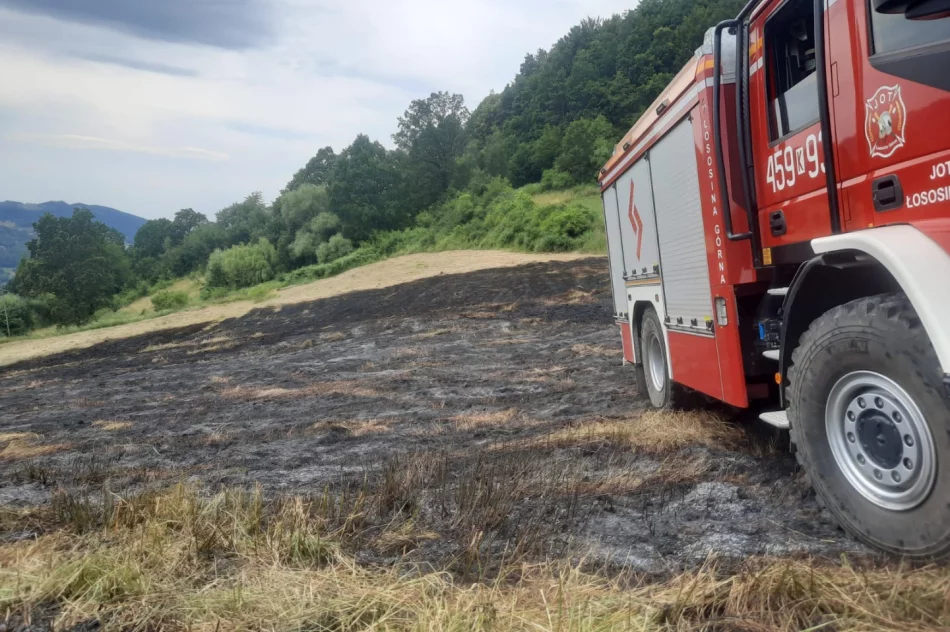 Pożar traw: poparzona osoba trafiła do szpitala - zdjęcie 3