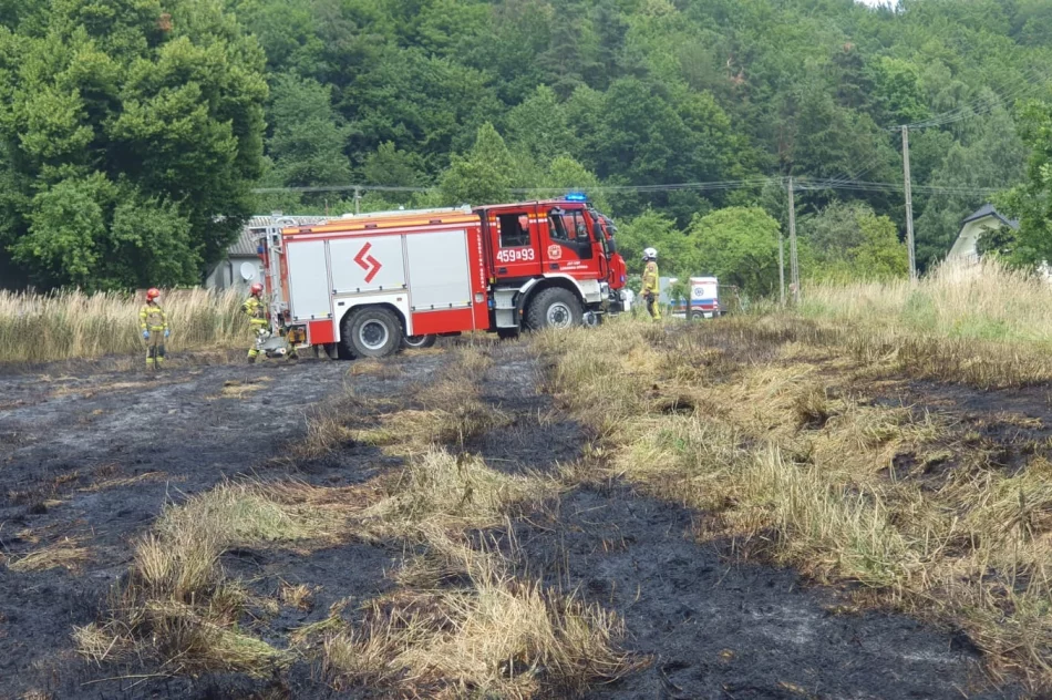 Pożar traw: poparzona osoba trafiła do szpitala - zdjęcie 4